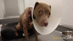 Donate to Holiday Giving 2024