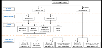 Diagnostic Flow Chart Abbreviations Ntm Nontuberculosis