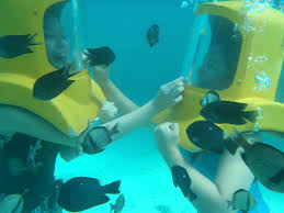 Helmet Diving Footprints Diaries