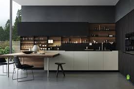modern kitchen design with dark