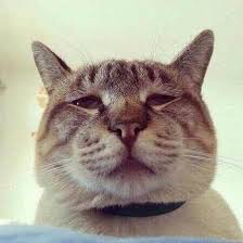 The Analysis & Use of Financial Statements 3rd Edition: Gerald I. White, Dov  Fried, Ashwinpaul C. Sondhl: 9780471429180: Amazon.com: Books