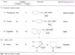 Biomolecules Top 4 Classes Of Biomolecules