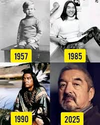 Graham Greene CM (born 22 June 1952) is a First Nations (Oneida) actor and  recording artist, active in film, television and theatre.