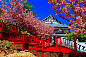 The Iconic Mt Fuji Restaurant Just Got A Dreamy New Lounge Nj Family