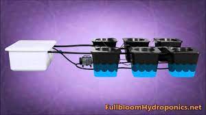 Bubble Flow Buckets Hydroponic System Avaialable At Fullbloomhydroponics Net Youtube
