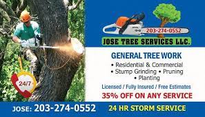 For old tax returns, enter the age of paperless and scan all your documents. Robles Tree Service Llc Posts Facebook