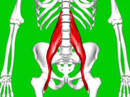 But there are other signs too. Hip Flexor Strain Symptoms Causes And Treatment