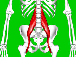 Back muscles, like any other muscle in the body, require adequate exercise to maintain strength and tone. Hip Flexor Strain Symptoms Causes And Treatment