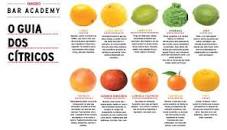 Resultado de imagen para site:www.diageobaracademy.com/ guia