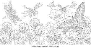 Download deer antler flower stock vectors. Adult Soloring Pages Stock Photo And Image Collection By Big Boy Shutterstock