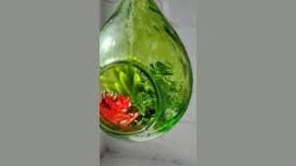 Make Your Own Terrarium - June 2026