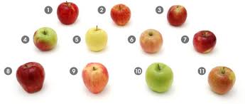 Jonagold is triploid, with sterile pollen, and as such, requires a second type of apple for pollen and is incapable of pollenizing other cultivars. What S The Difference Between A Jonagold And A Fuji