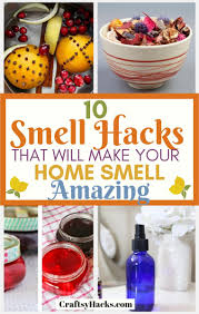 Freshen up rooms with the clean scent of lemon and basil. 10 Smell Hacks To Make Your House Smell Amazing Craftsy Hacks