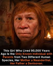 Human Evolution and Origins: Uncovering Denisovan Jawbone Insights