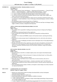 developer / programmer analyst resume