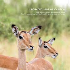 Wildlife camera night vision optics. Apeman Trail Cam H55