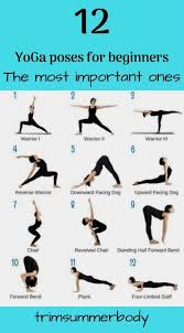 Yoga for beginners, utthita hasta padangusthasana from ashtanga primary series with kino. Yoga Exercises For Beginners Cheap Online