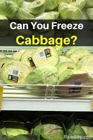 When you're ready to eat them and the frozen cabbage how do you preserve cabbage from the garden? Can Cabbage Be Frozen Or Refrigerated How To Thaw Properly Fitibility