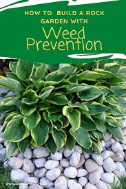 With each rock type on its own, pour water on the rocks to remove soil. How To Build A Rock Garden With Weed Prevention Canadian Budget Binder