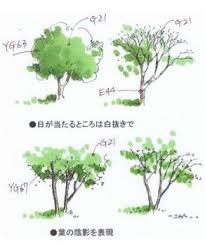 イメージビュアで開きます 風景デッサン 木 書き方 景観設計