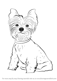 Learn How To Draw Yorkie Puppy Dogs Step By Step Drawing Tutorials Yorkie Painting Puppy Drawing Easy Colorful Dog Paintings We found teacup yorkie on a google search a few months ago, having browsed through plenty of other breeder's sites, we knew right away that this breeder was. pinterest