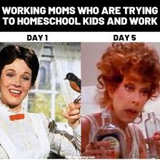 What do friday memes mean? 18 Memes About Virtual School That Parents Need Right Now