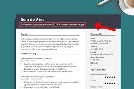 Pakkende Cv Titel Schrijven Zo Doe Je Dat Met Voorbeelden