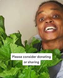 Iris Dawson (@dawsoniris) • Instagram photos and videos