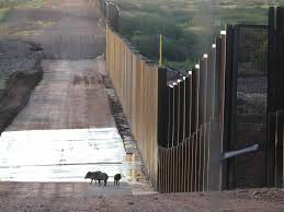 We did not find results for: Border Wall Defenders Of Wildlife