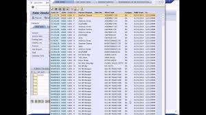 Sap Financial Accounting Youtube