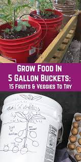 Grow Food In 5 Gallon Buckets 15 Fruits Veggies That Thrive In 2020 Growing Food Bucket Gardening Growing Vegetables