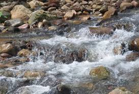 Lata tembakah terkenal dengan keindahan panorama air terjun 7 tingkat sesuai untuk pengunjung yang gemar aktiviti. Carian Mengenai Topik Hutan Lipur Astro Awani
