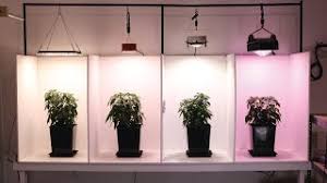 The migro aray 8 is a 480w (+red) to 530w (pro) led grow light with 8 led bars, two drivers with dimmer control and 3.5m (12ft) long cables. Hlg Qb288 Vs Chilled Puc Vs Migro 100 Vs Mars Hydro Cob Youtube
