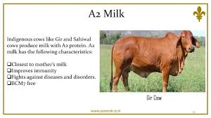 F2p Milk Is Pure Cow Milk That Comes Directly From Our Dairy Farms To Your Homes Without Being Processed Mother Milk Milk Cow Pure Products