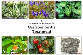 Maybe you would like to learn more about one of these? 6 Homeopathic Remedies For Gastroenteritis Treatment By Homoeo Clinic Lybrate