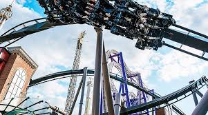 Image result for Grona hirta