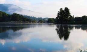 Aceasta este pagina celor care il iubesc pe hristos si il asculta pe duhovnicul lor, parintele. Arhive PÄƒrintele Calistrat Portalul Moldova OrtodoxÄƒ Portalul Moldova OrtodoxÄƒ