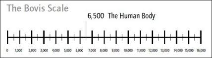 The Bovis Scale To Stay In Good Health Our Body And Spirit