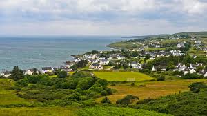 Image result for Gilgiochloa