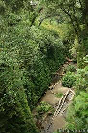 Maybe you would like to learn more about one of these? Fern Canyon Trail Prairie Creek Redwoods Sp Hikespeak Com