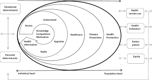 1 Integrated Model Of Health Literacy Own Source Download Scientific Diagram