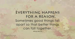 I believe that everything happens for a reason. Everything Happens For A Reason Quotes