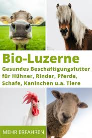 Bio Luzerne Ballen Beschaftigungsfutter Fur Huhner Und Andere Tiere 20 Kg In 2020 Tiere Huhner Futter Huhner