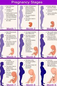 Usg kandungan usia 4 bulan menjelang 5 bulan (17 bulan 6 hari). Perhatikan Ini Saat Perkembangan Janin Usia 6 Bulan Bidan Sela Terdekat Di Margaasih