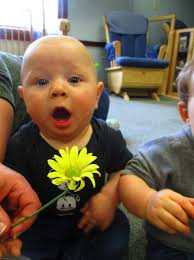 Snyder Union Mifflin Child Development, Inc. Annual Report 2016-2017