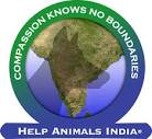 Saving India's Street Dogs – Help Animals India - Saving India's ...