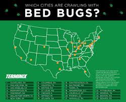 He was very thorough in his contract explanation and sprayed inside and out primarily for a wasp problem weve been having. Terminix Reveals Its List Of The Top 25 Most Bed Bug Infested Cities Business Wire