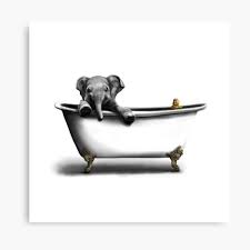 We make it easy for you to narrow down our broad collection of fine art prints. Baby Elephant Wall Art Redbubble