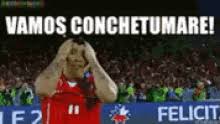 Fue fundada en 2015 y está compuesta por unión demócrata independiente, renovación nacional, partido regionalista independiente demócrata y evópoli. Chile Gifs Tenor