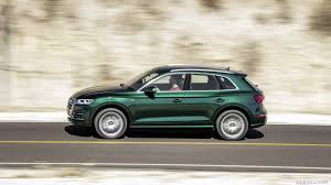 Image result for Azorean Green 2018 Q5